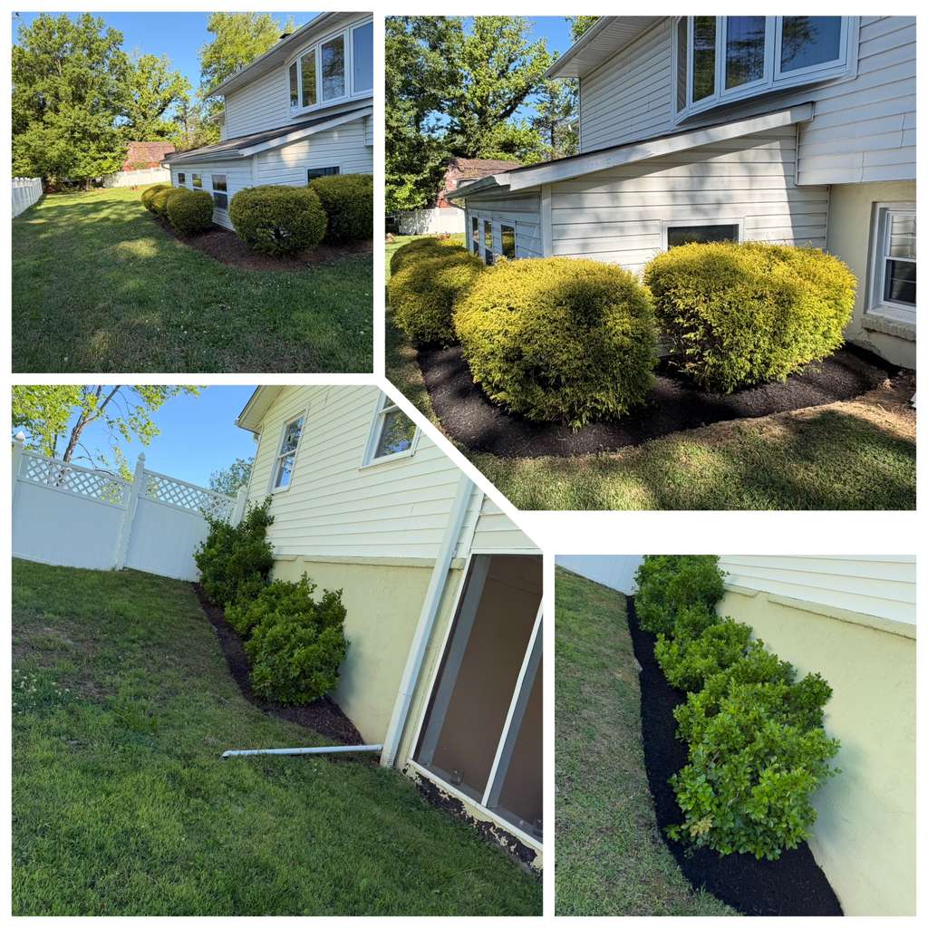 Landscaping Work