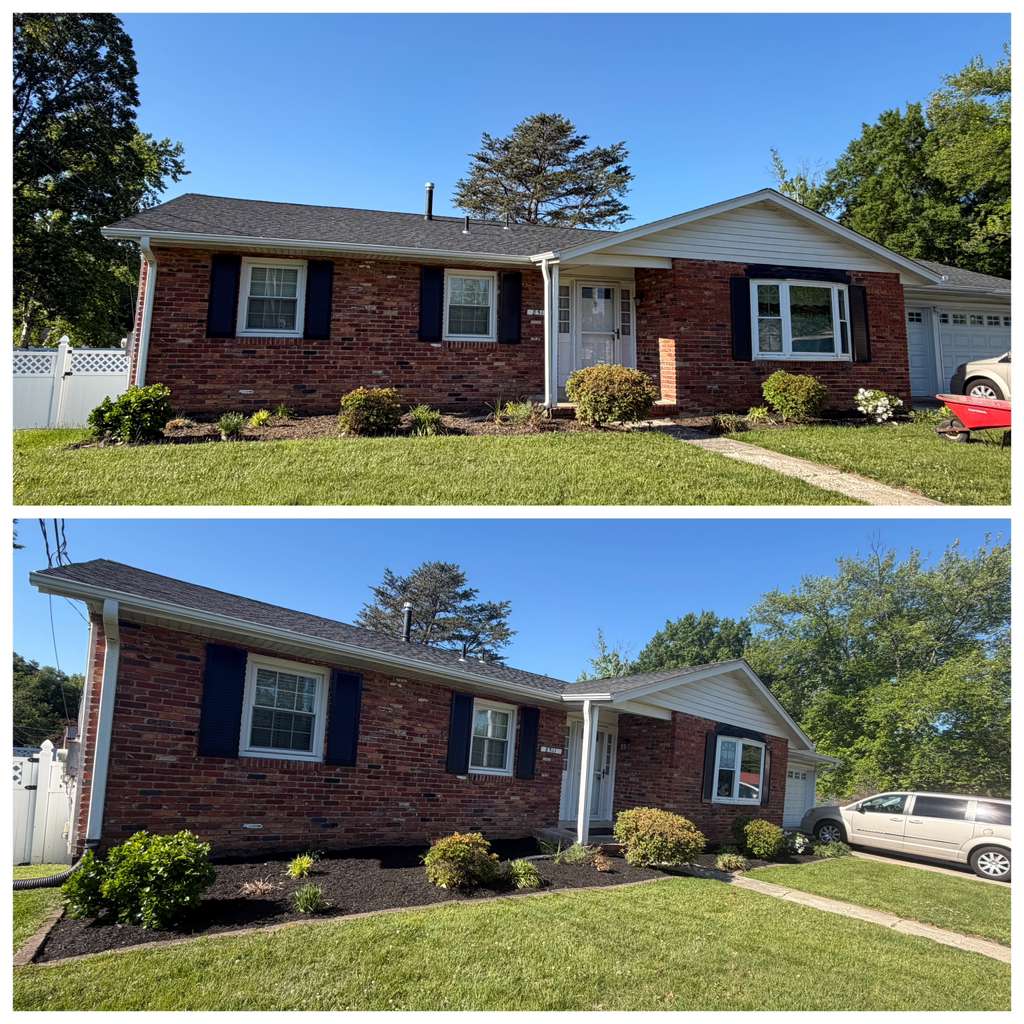 Landscaping Work