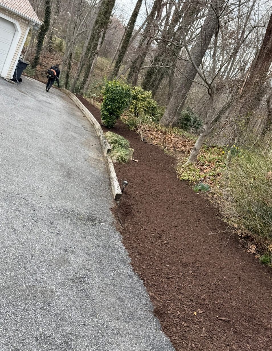 Landscaping Work