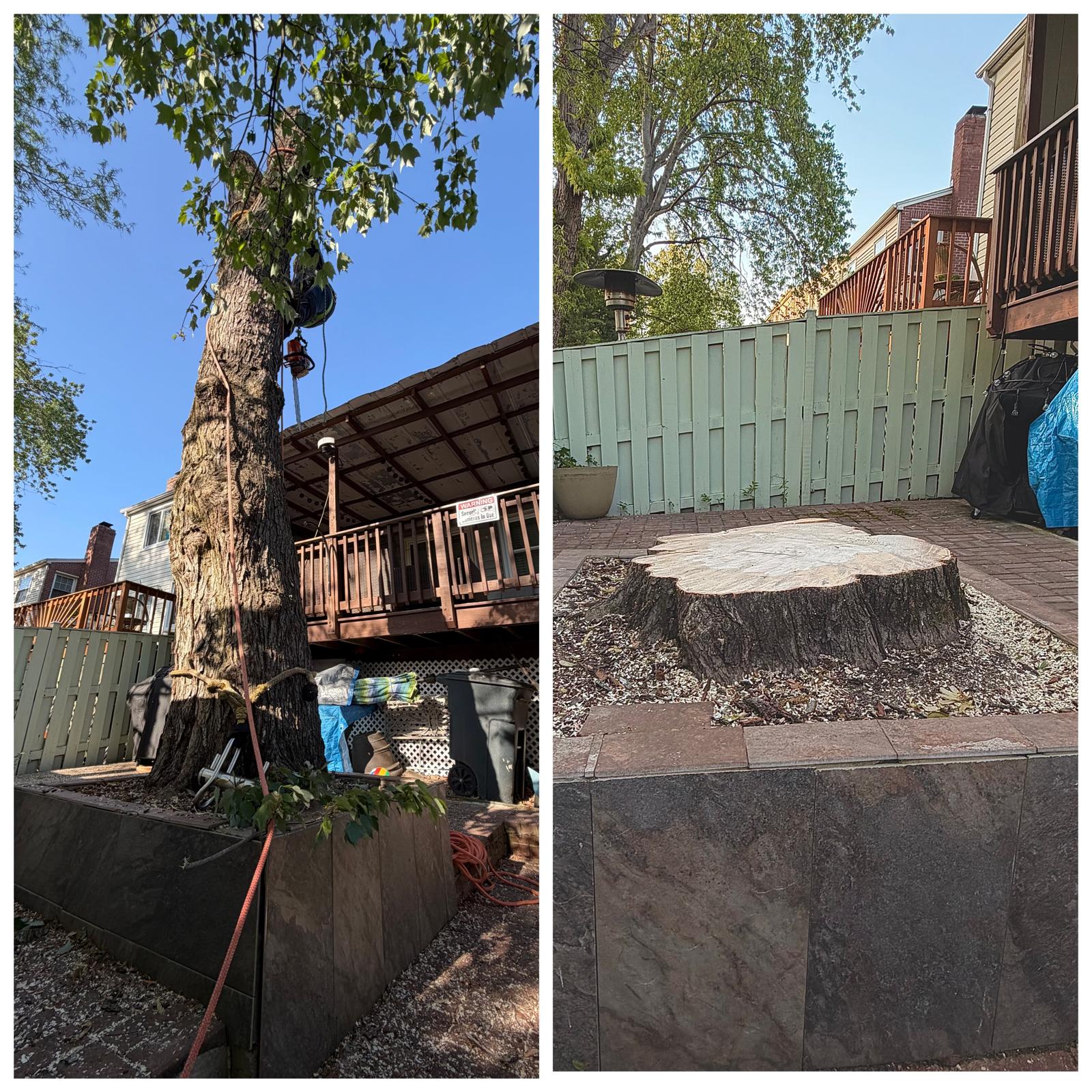 Landscaping Work