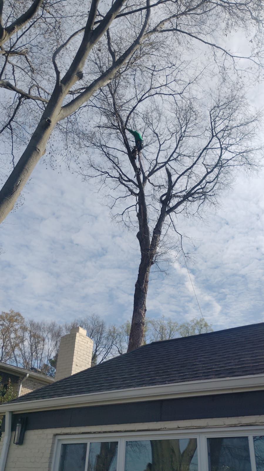 Landscaping Work